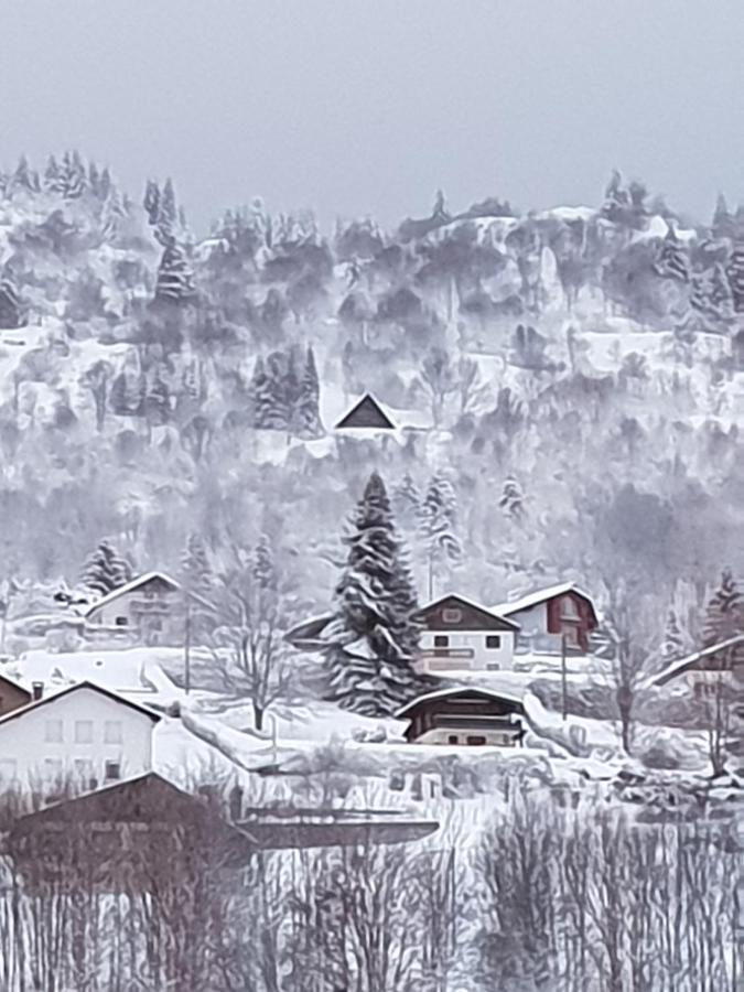 Maison Chaleureuse La Meybel La Bresse Exteriér fotografie