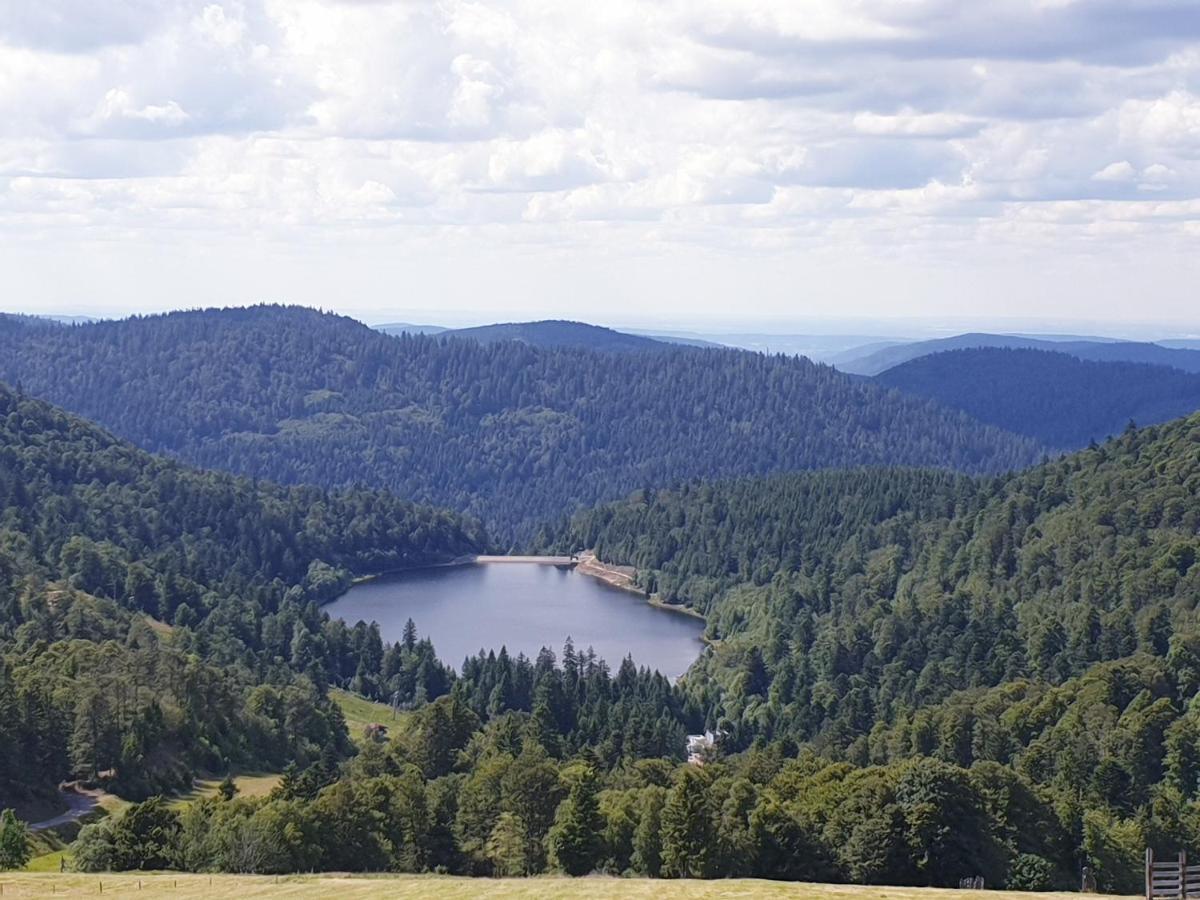 Maison Chaleureuse La Meybel La Bresse Exteriér fotografie