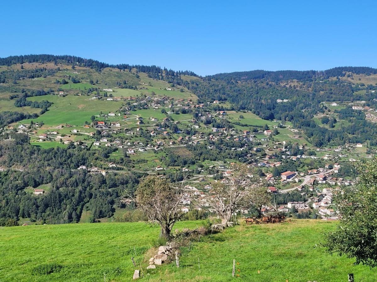 Maison Chaleureuse La Meybel La Bresse Exteriér fotografie